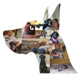 Dog Photo Fridge Magnets - (PACK OF 2) (UK)