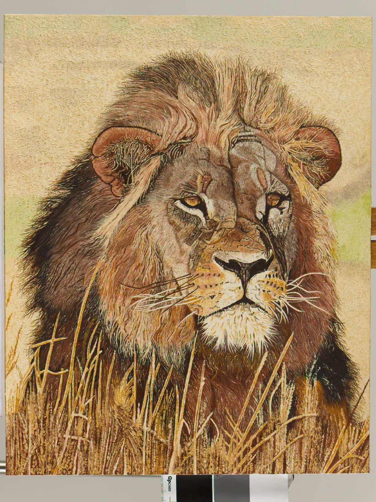 Male Lion Oil Painting Oil Painting Clive
