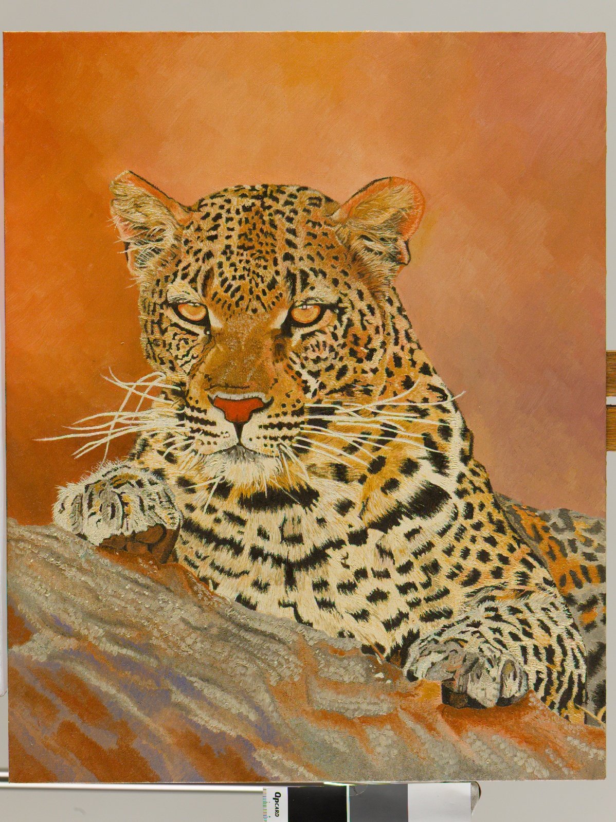 Staring Leopard Oil Painting Oil Painting Clive