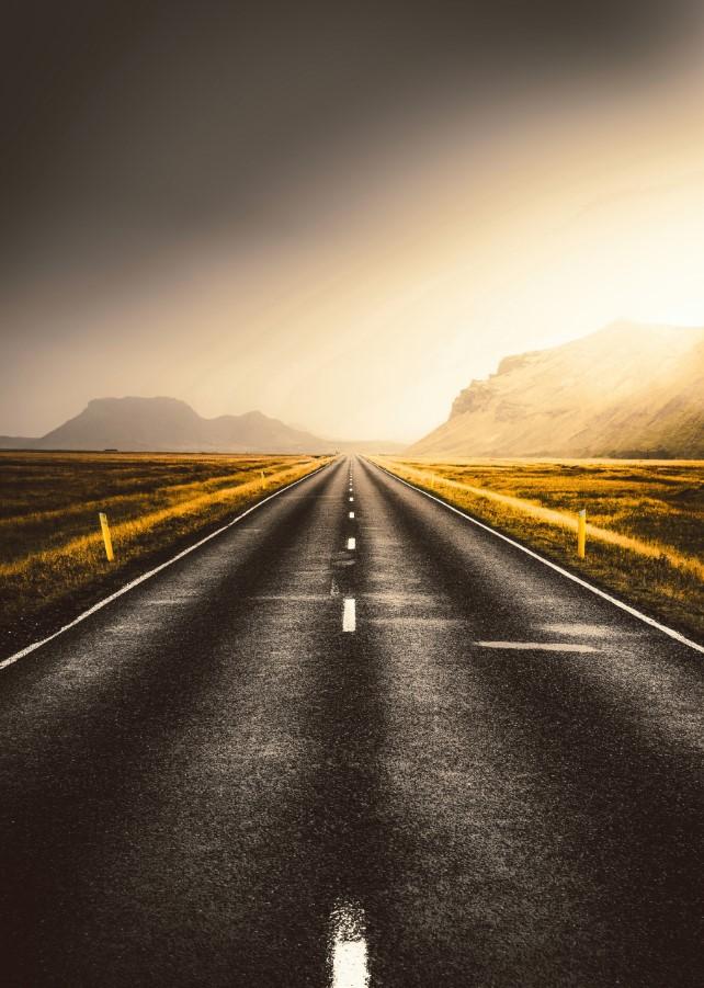 Road to Sunlight Canvas & More