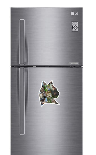 Cat Photo Fridge Magnets - (PACK OF 2) (UK)