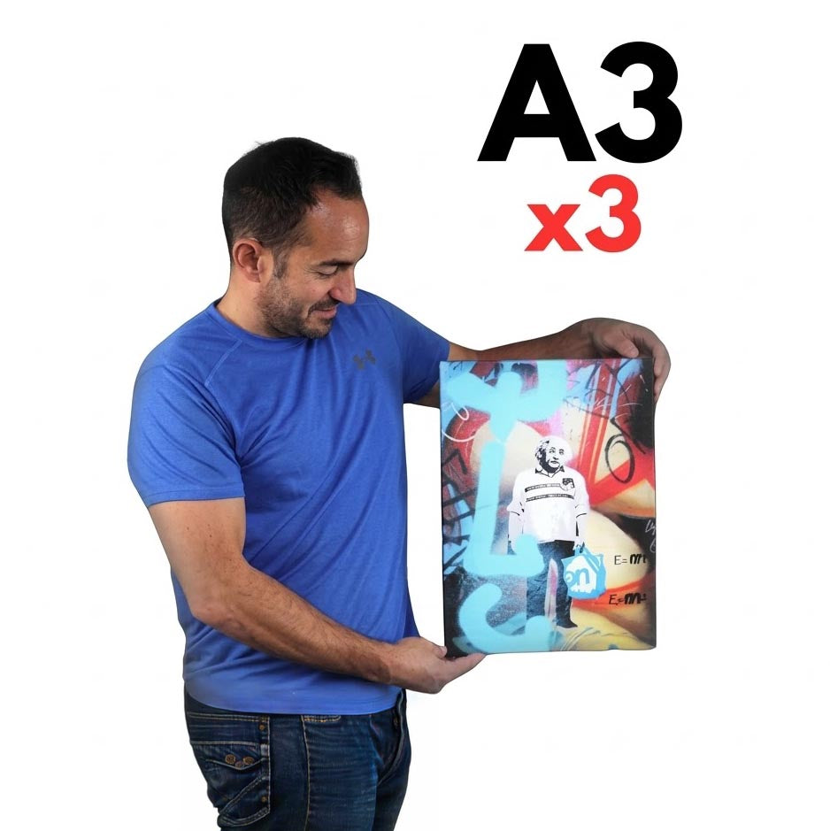 Buy one A3 Canvas, Get two FREE! (Total 3 x A3- double the size of A4!)