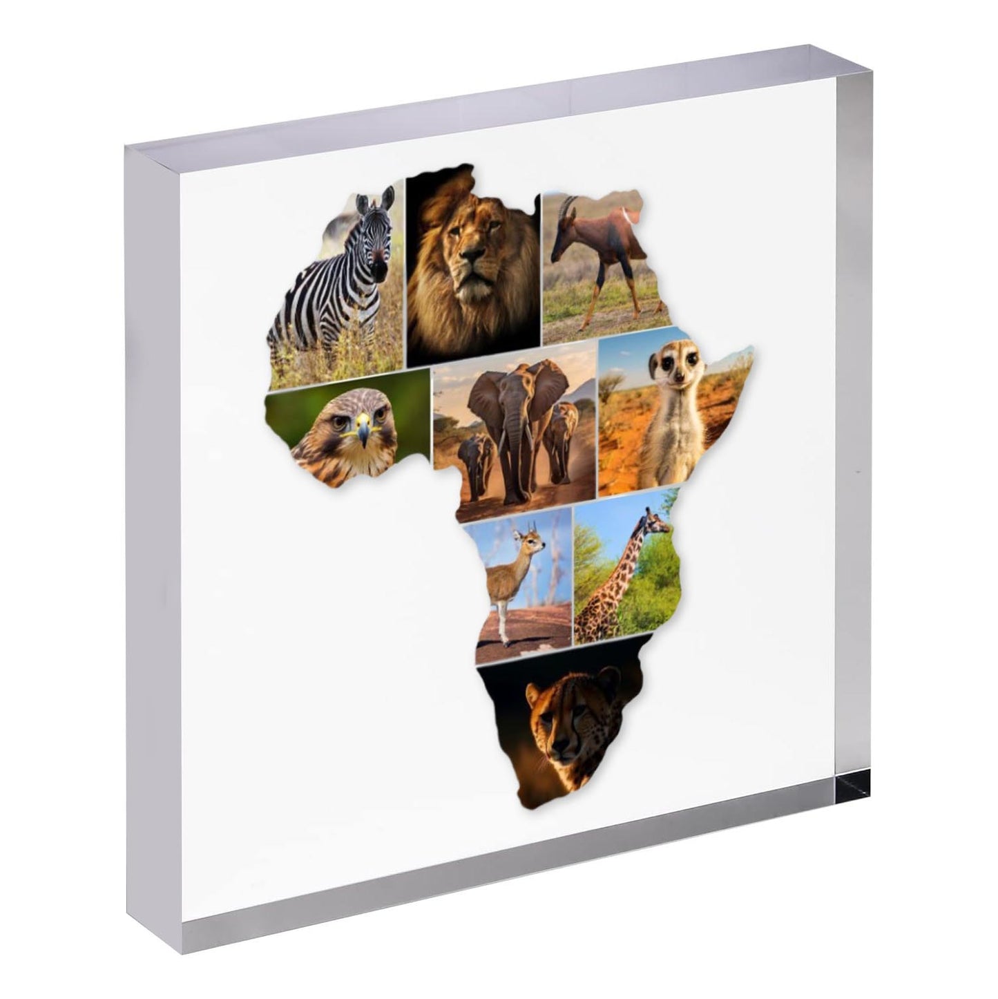 African Map Photo Collage on  Acrylic, Slate, Mug or Magnet (9 Photos)