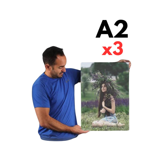 Buy one A2 Canvas, Get two FREE! (Total 3 x A2!)