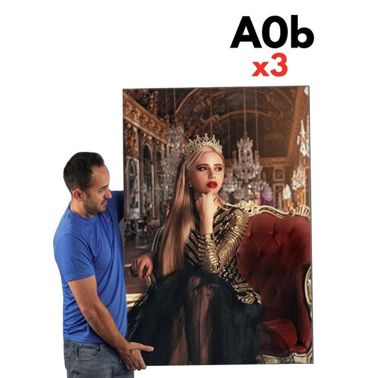 Buy 1 VERY Large Feature Canvas (825x1020mm) Canvas and get 2 FREE!