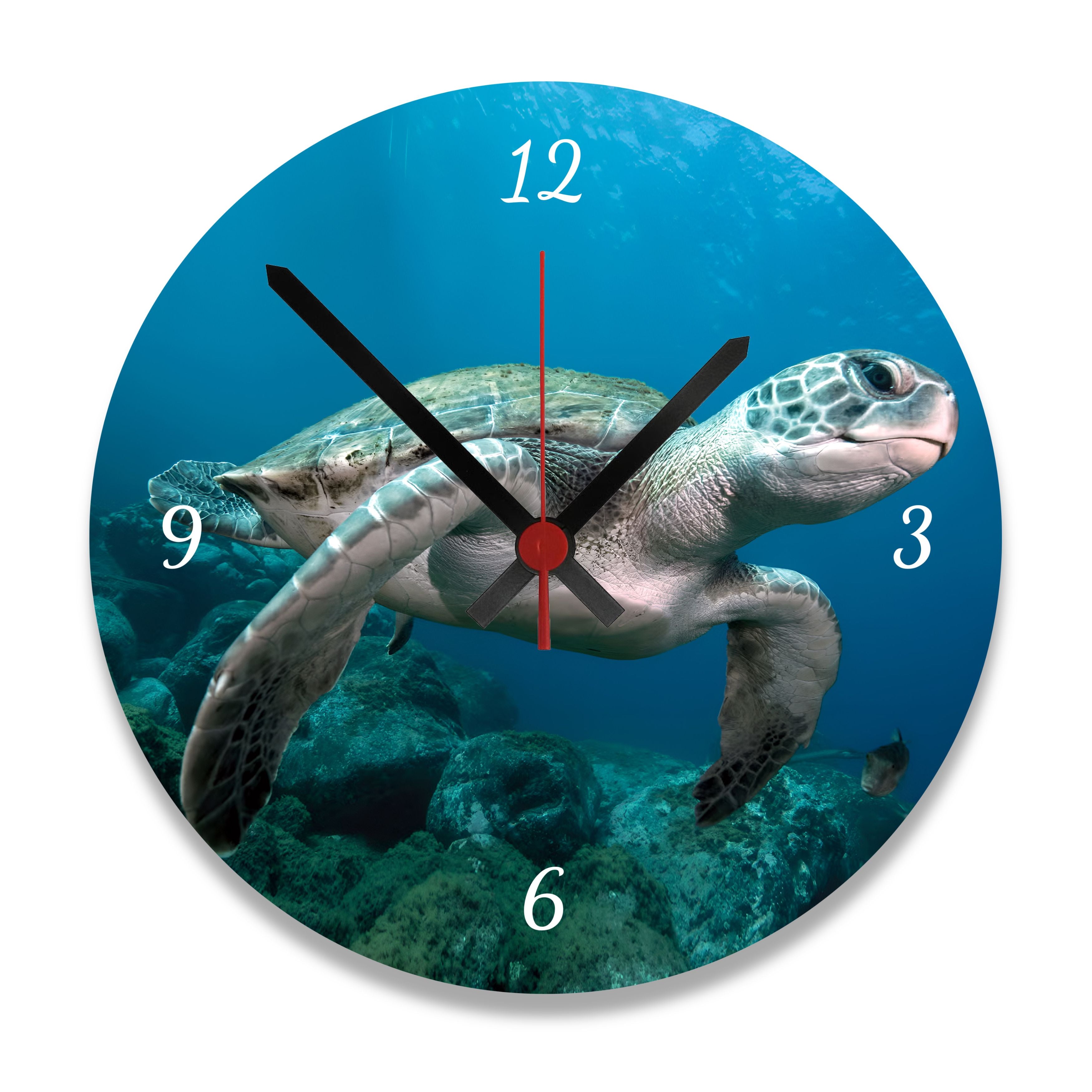 Personalized Photo Wall Clock – Turtle | Ready to Hang