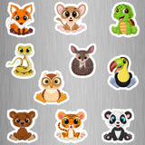 Little Animal Pack (1) Photo Fridge Magnets - (10 PER PACK) (UK)