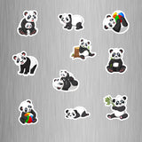 Panda Photo Fridge Magnets - (10 PER PACK) (UK)