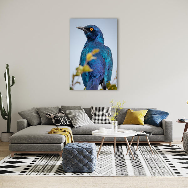 Wildlife Bird Print: 1