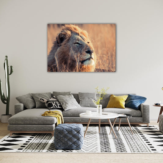 Lion Print: 15