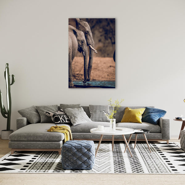 Elephant Print: 16