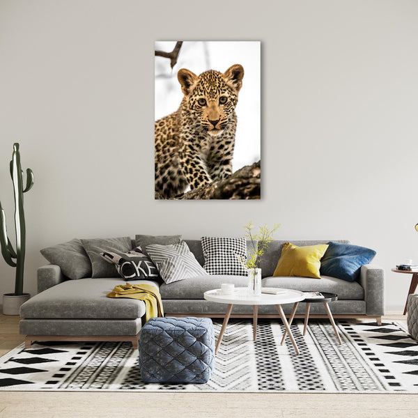 Lepard Print: 1