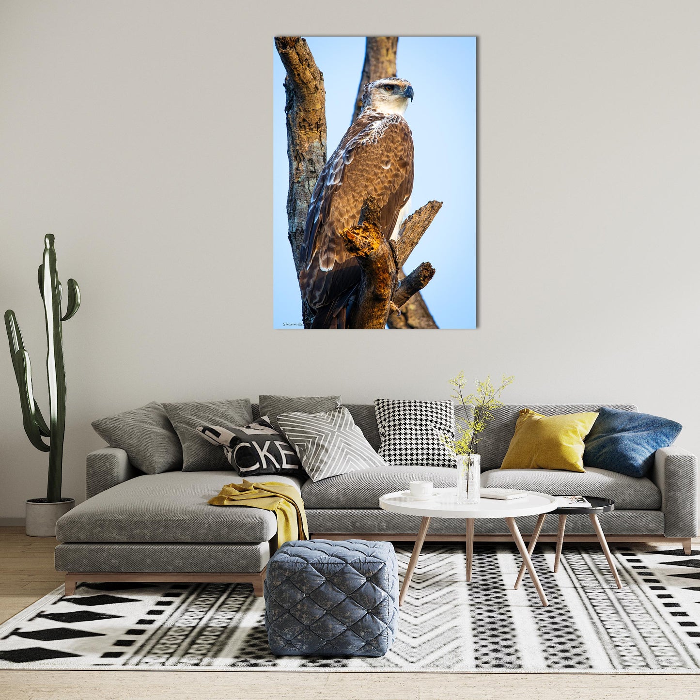 Wildlife Bird Print: 2