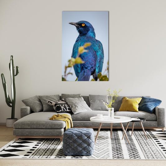 Wildlife Bird Print: 3