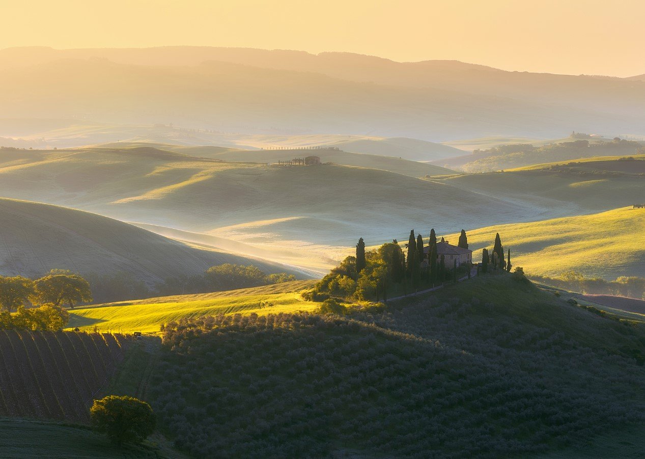 Belvdere Canvas & More 