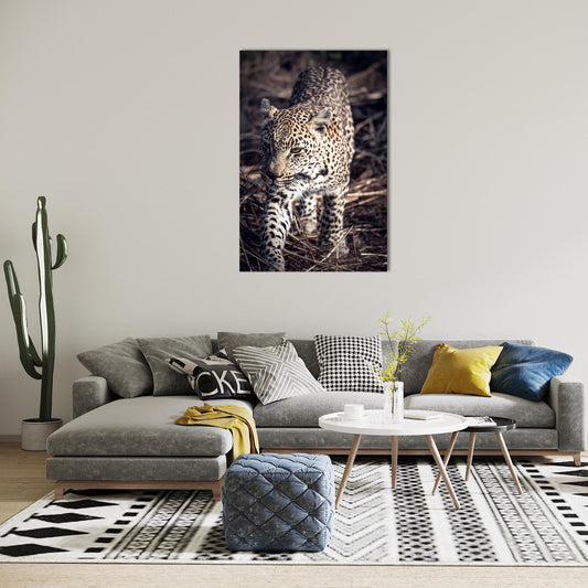 Lepard Print: 52