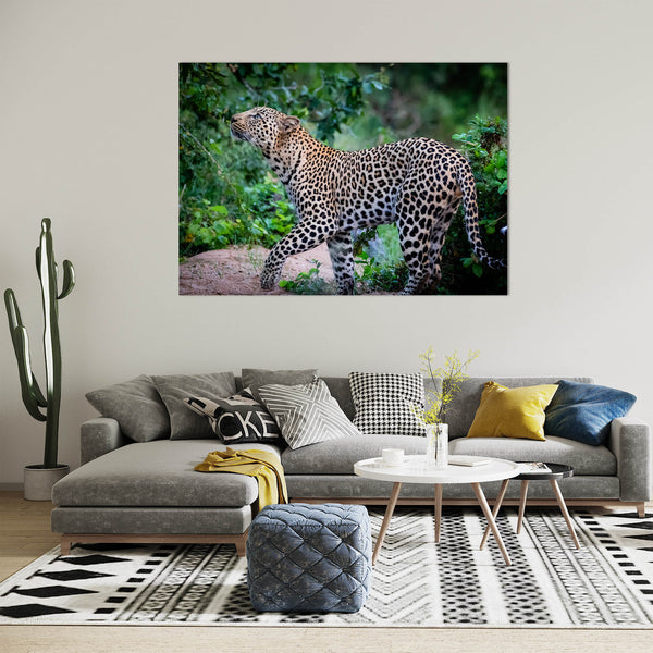 Lepard Print: 16