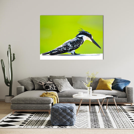 Wildlife Bird Print: 4