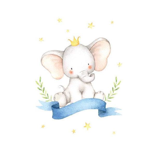 Baby Boy Elephants Sets - Canvas Set Decal & Height Chart