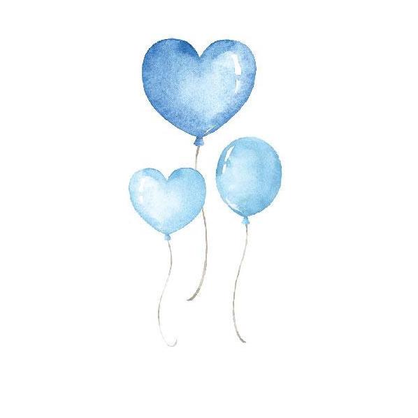 Baby Boy Elephants Sets - Canvas Set Decal & Height Chart