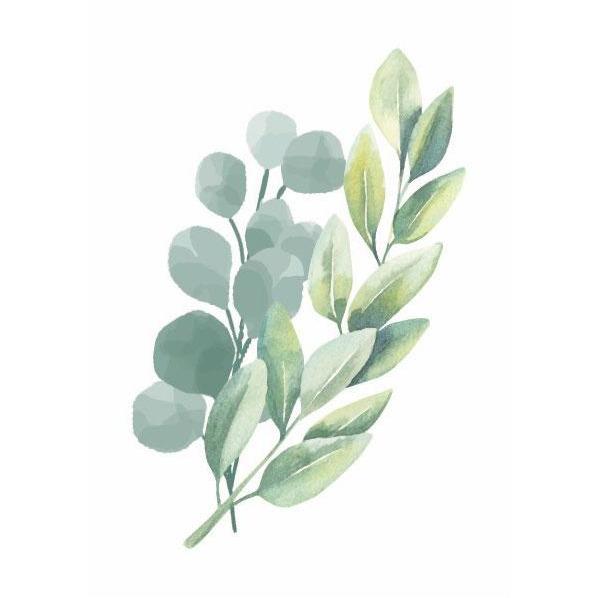 Animal Safari Decals and Height Charts