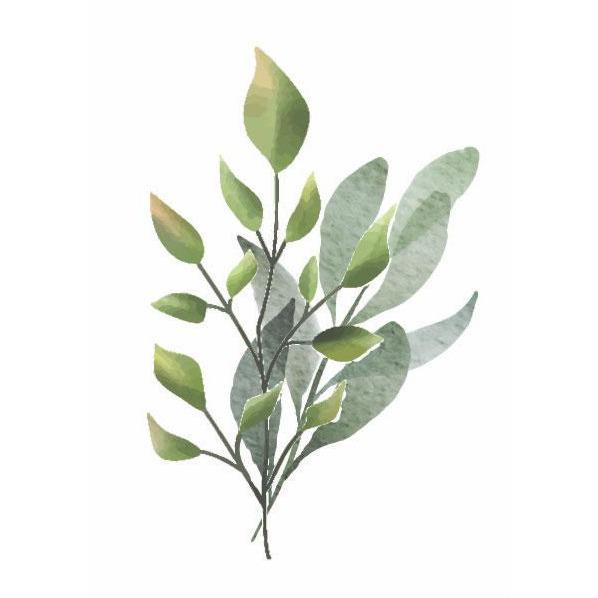 Animal Safari Decals and Height Charts