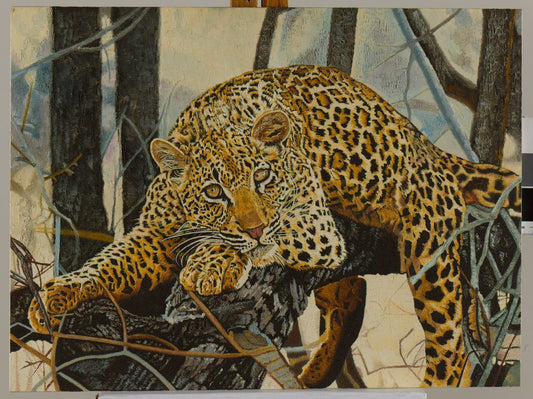 Leopard in a Tree Oil Painting Oil Painting Clive 
