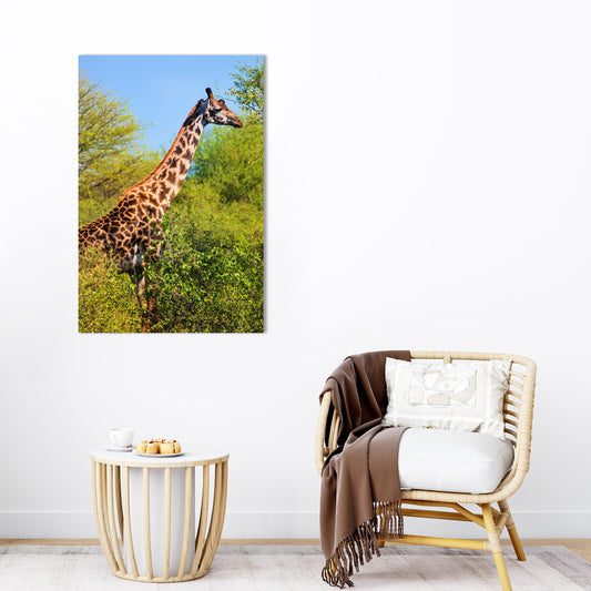 Giraffe Print: 1