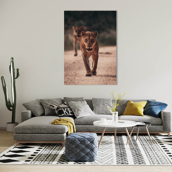 Lion Print: 23