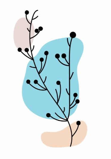 Botanical Boho Set (1) Canvas & More 