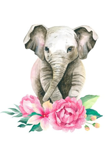 Girls Set of 3 - Safari Watercolor Tropical Babies