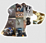 Dog Photo Fridge Magnets - (PACK OF 2) (UK)