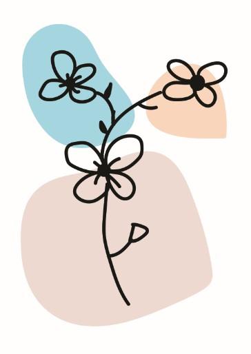 Botanical Boho Set (2) Canvas & More 