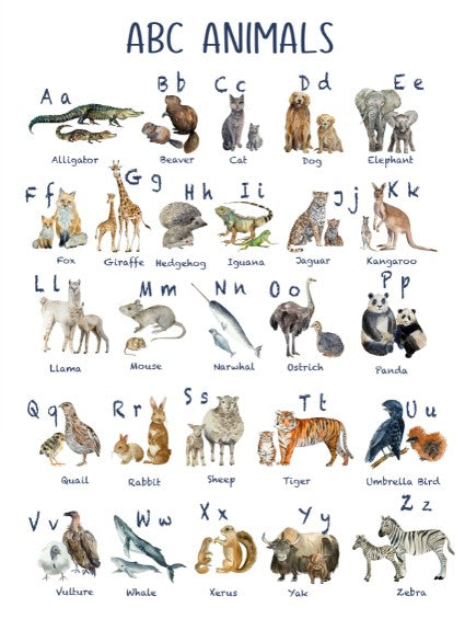 Unisex :  Set of 1 - Watercolor ABC Animals