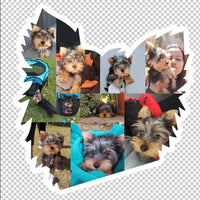 Dog Photo Fridge Magnets - (PACK OF 2) (UK)
