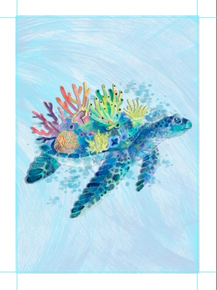 Teen Girls: Set of 1 -  Sea Turtle