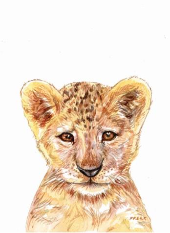 Unisex: Set of 1 - Watercolor Canvas & More 