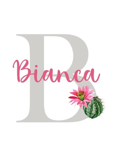 Girls: Set of 3 - Llama with a Cactus Canvas & More 