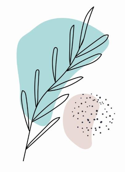 Botanical Boho Set (2) Canvas & More 