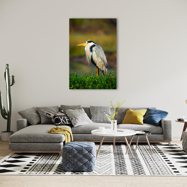 Wildlife Bird Print: 2