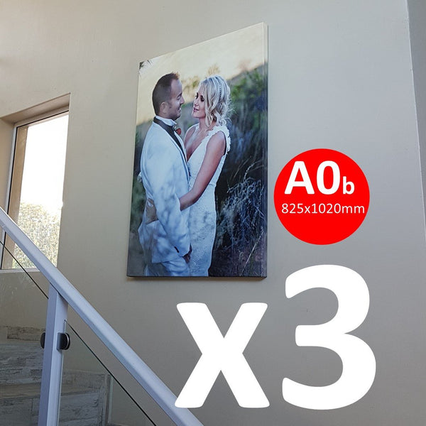 Buy 1 VERY Large Feature Canvas (825x1020mm) Canvas and get 2 FREE! Canvas & More 