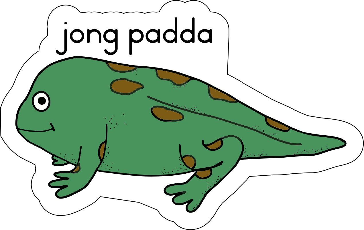 Lewensiklus van die padda Fridge Magnets - (12 PER PACK)