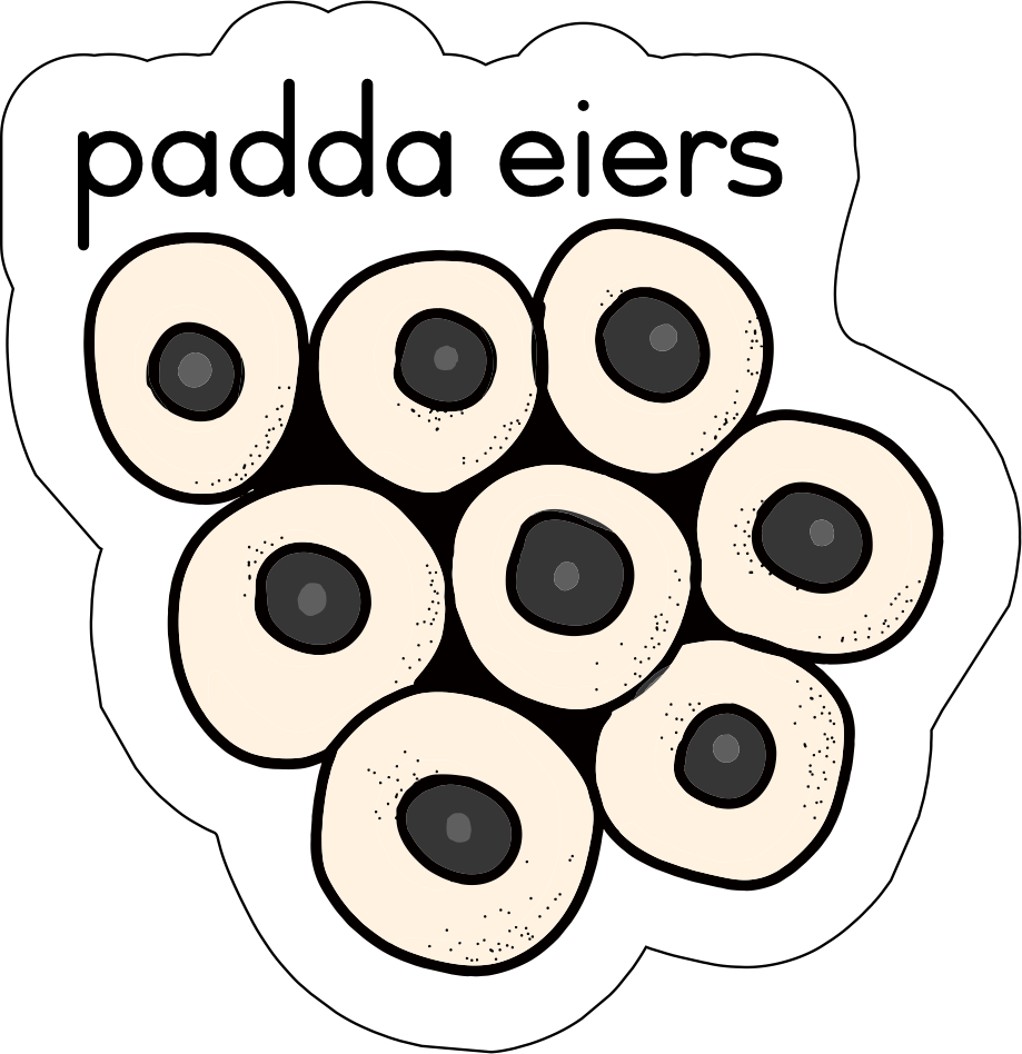Lewensiklus van die padda Fridge Magnets - (12 PER PACK)