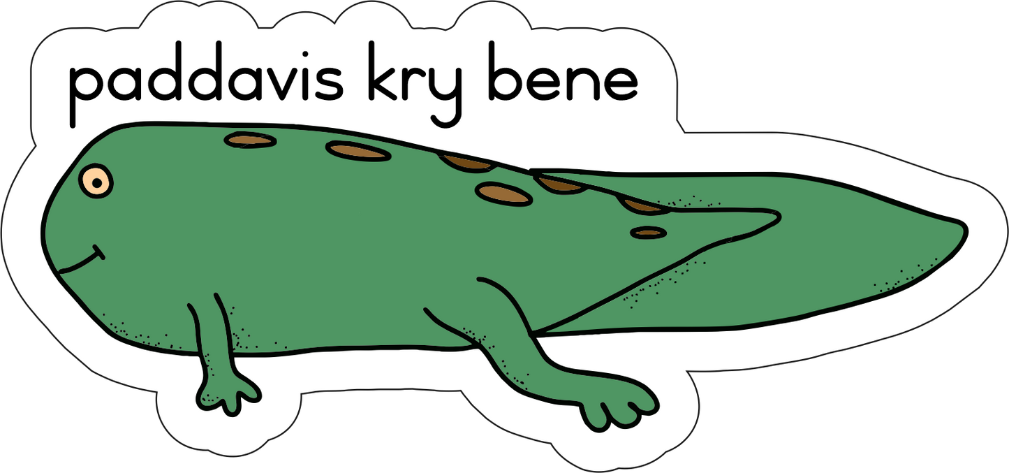 Lewensiklus van die padda Fridge Magnets - (12 PER PACK)