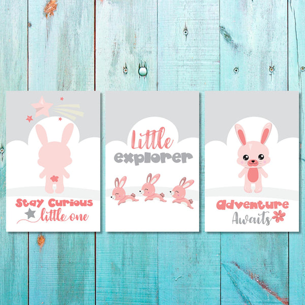 Girls: Set of 3 - Pink Bunny Little explorer Canvas & More 