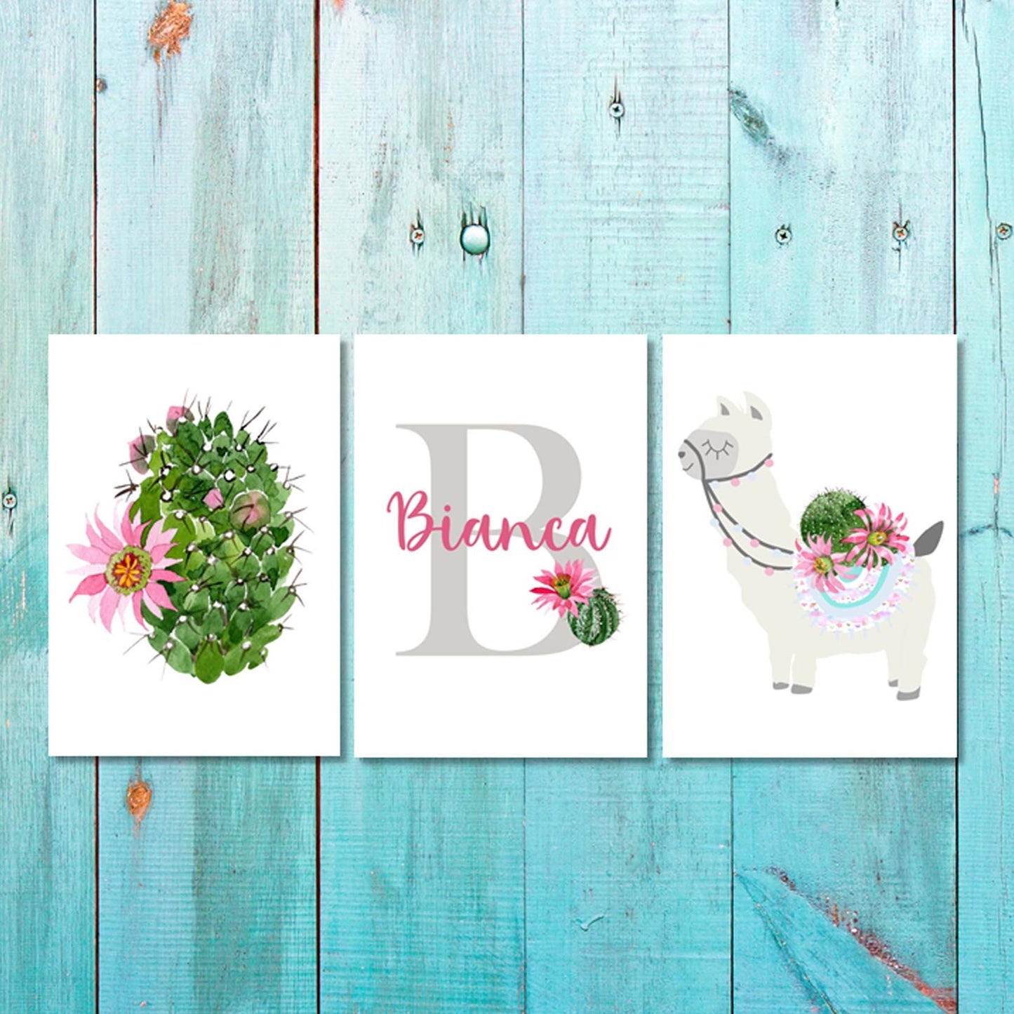 Girls: Set of 3 - Llama with a Cactus Canvas & More 