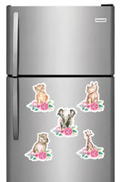 Watercolor Tropical Baby Animals Fridge Magnets - (5 PER PACK) (UK)