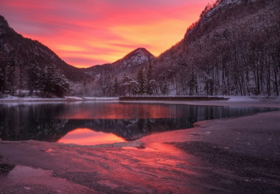 Zavrsnica Vivid Sunset