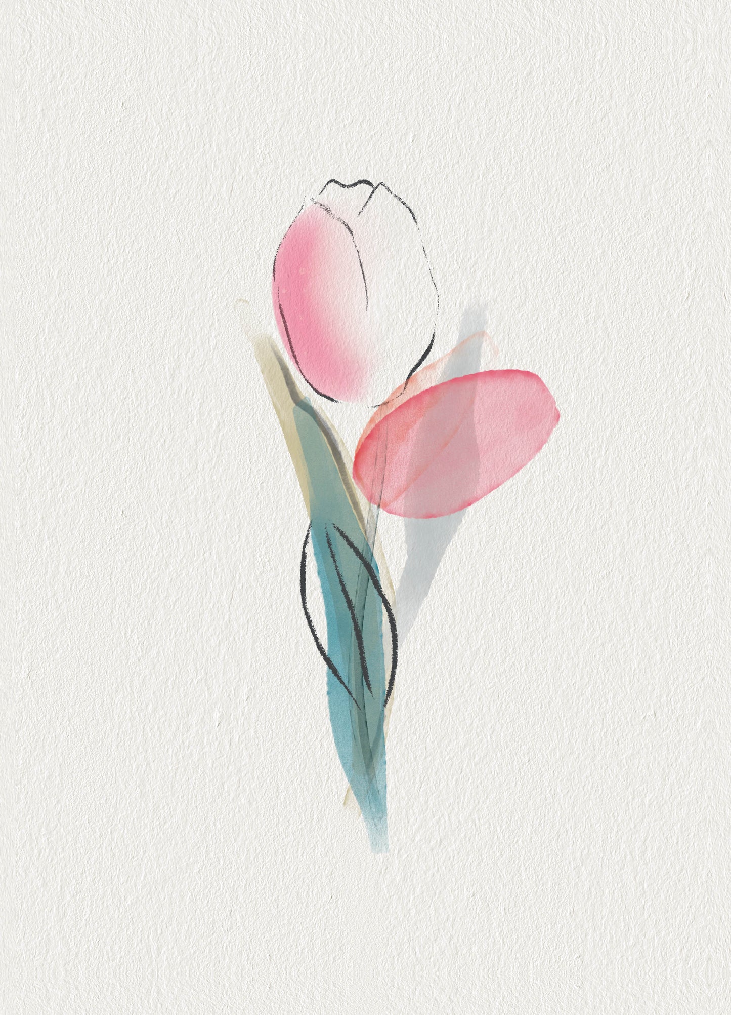 Watercolour Tulip
